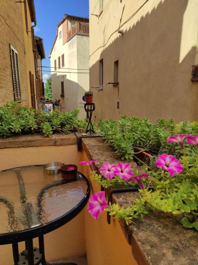 La Carbonaia Guest house
